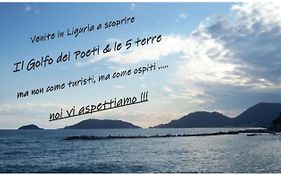 Stella Marina